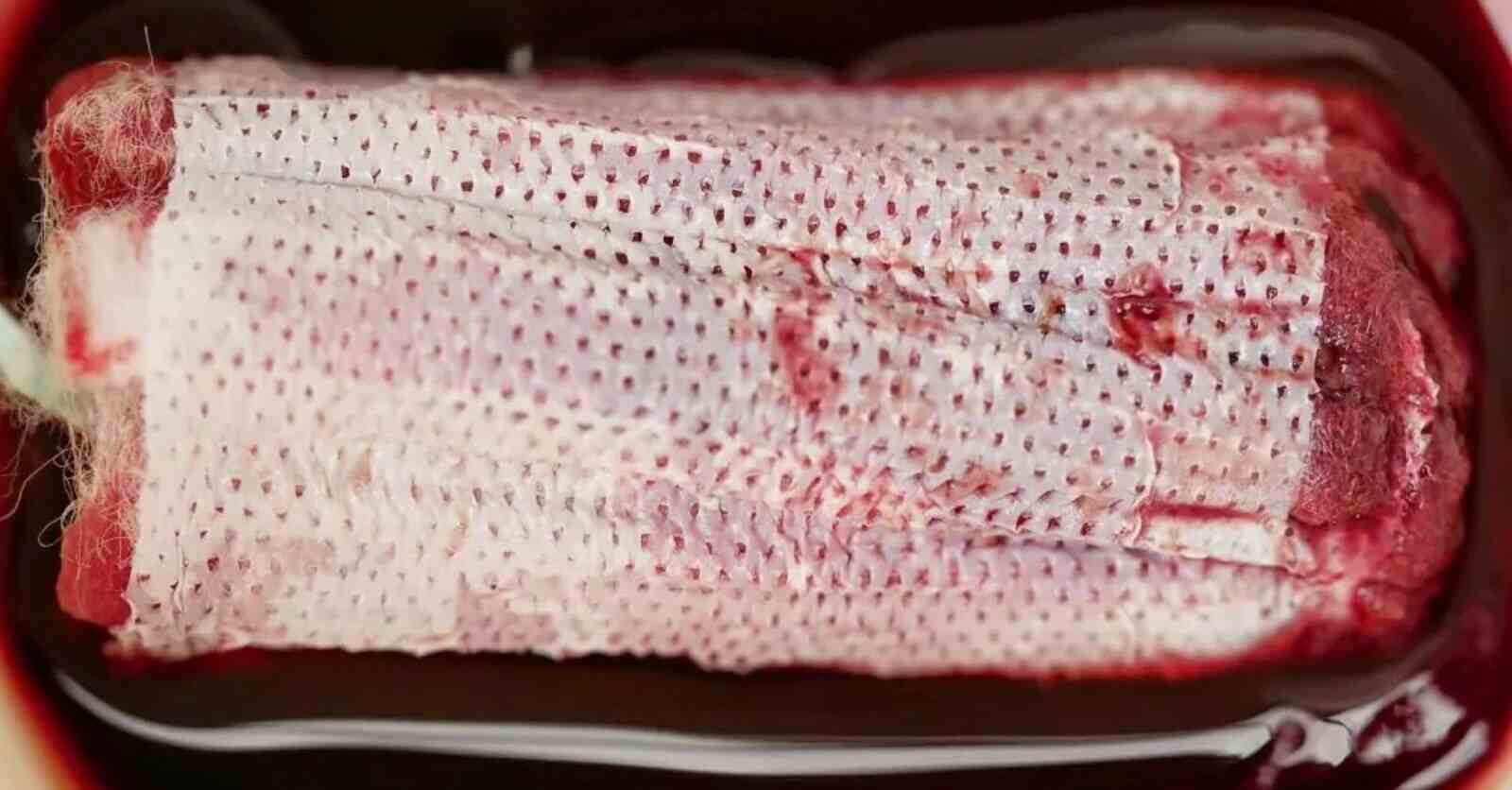 "Stigma Monatsblutung": Menstruelle Unabhängigkeit