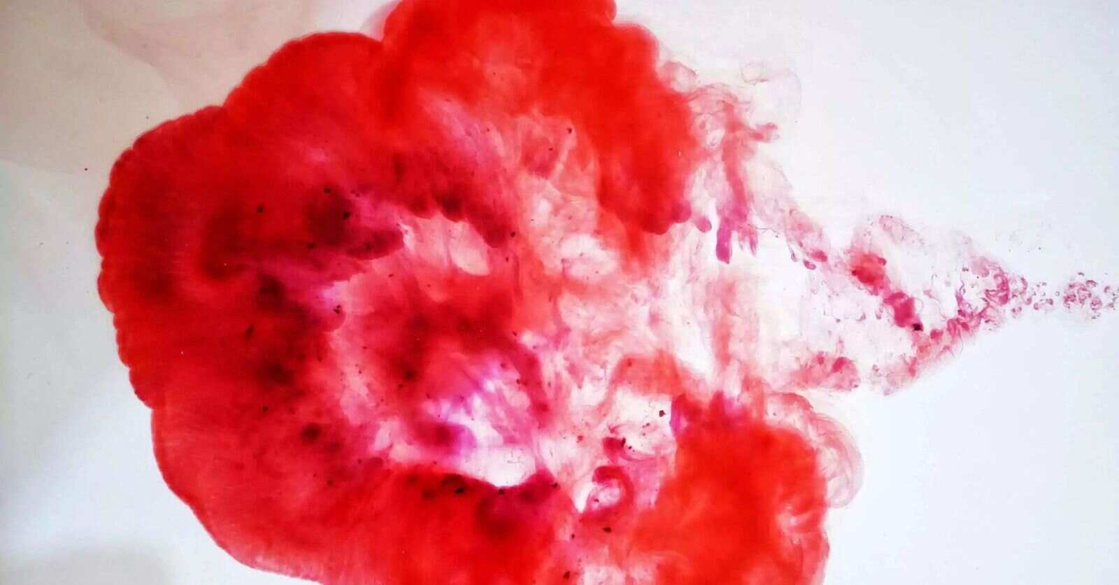 Warum ich das Tabu der ersten Menstruation brechen möchte