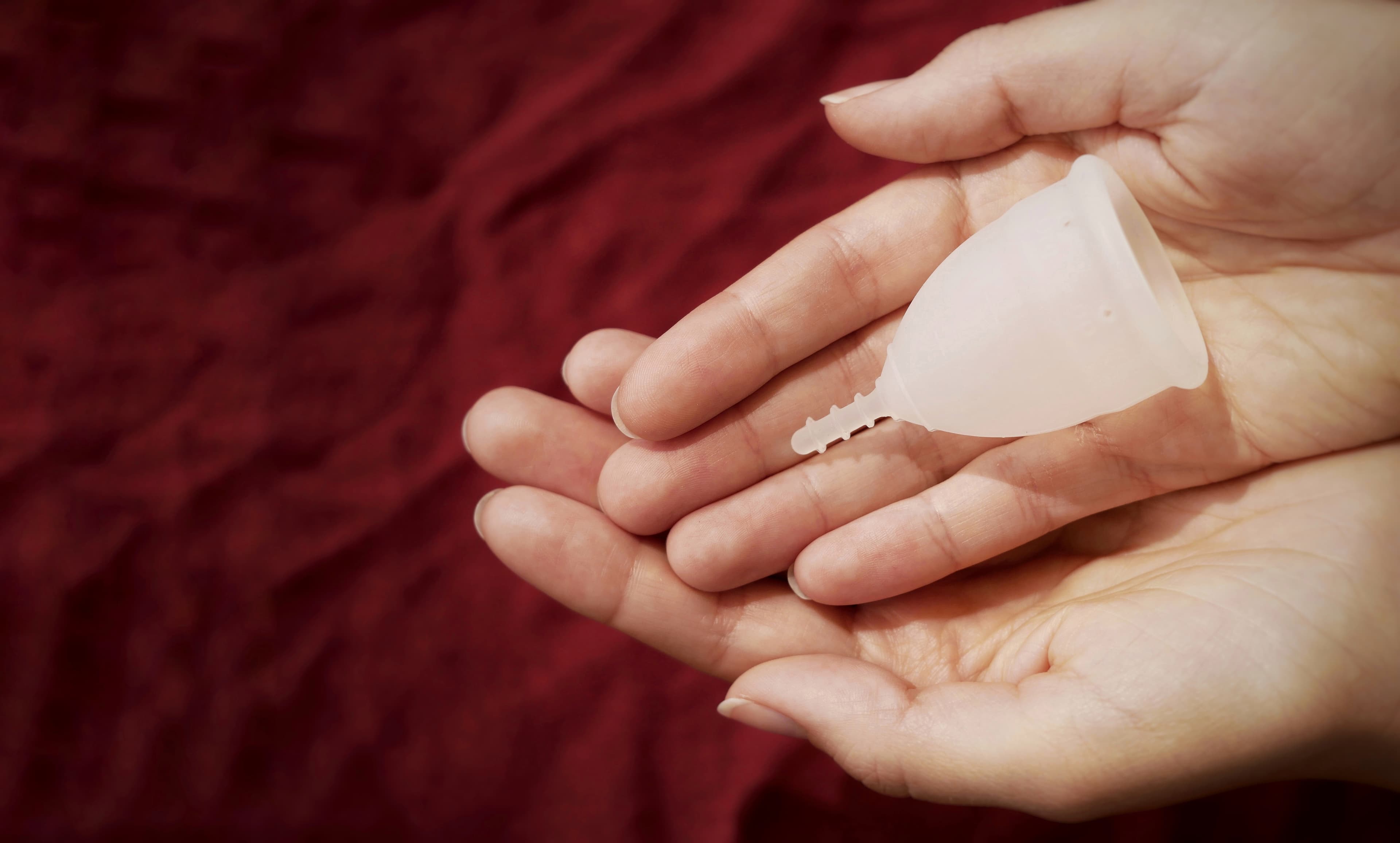 Wie finde ich die richtige Menstruationstasse?