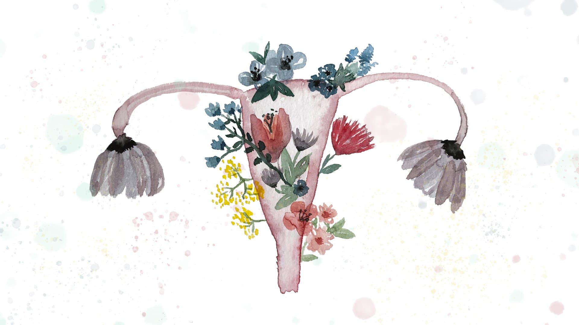 Vulva, Vagina, Vulvalippen… Was ist das alles genau?