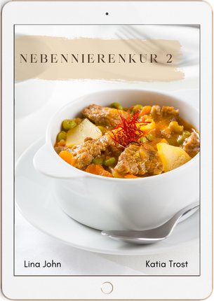 Nebennierenkur, Nebennieren, Nebennierenschwäche, Metahormonix, Nebennierenkur-Rezepte, Nebennieren Rezepte, Nebennierenerschöpfung, Nebennieren Erfahrungen, Nebennierenkur 2, Ernährung bei Nebennierenschwäche, Nebennieren stärken, Katia Trost, Vulvani